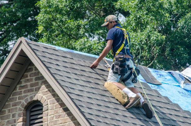 Roof Gutter Cleaning in Milton, DE